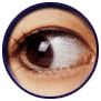 eye2.gif (16684 bytes)